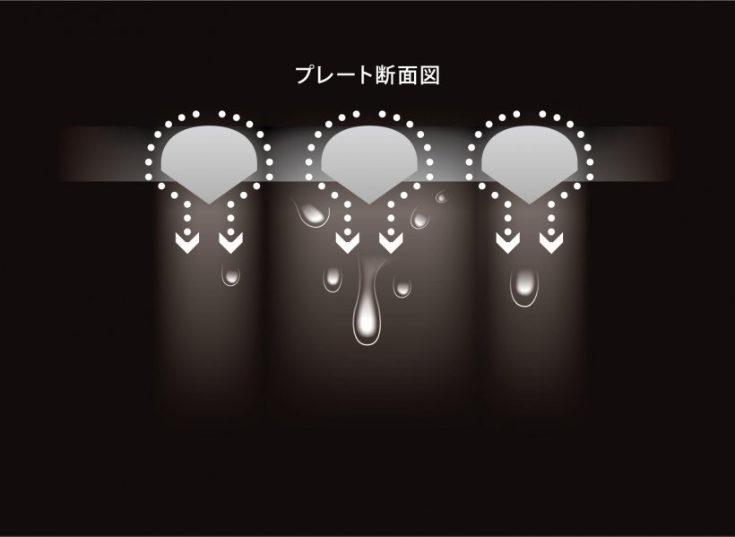 （4）秘密はプレートに採用した独自のカット構造　②上面曲線形状