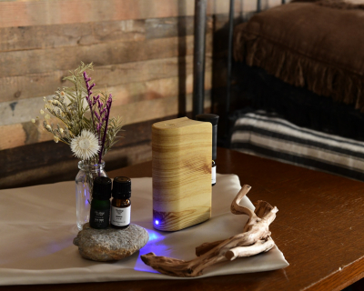 アロマ ネブライザー式ディフューザー　LNB-1