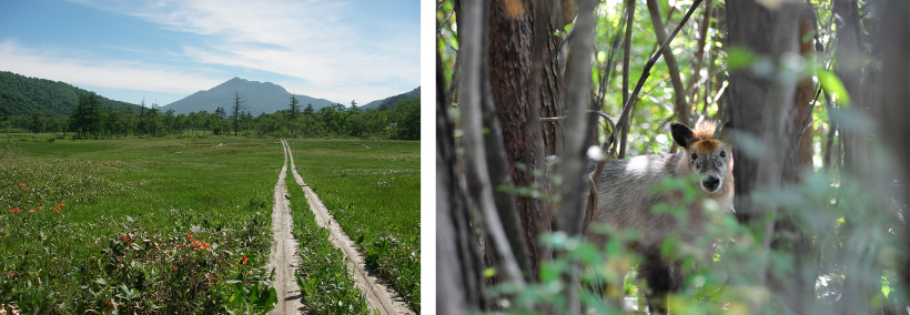 写真提供：公益財団法人日本自然保護協会