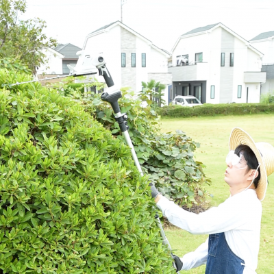 高所の刈込を行う様子