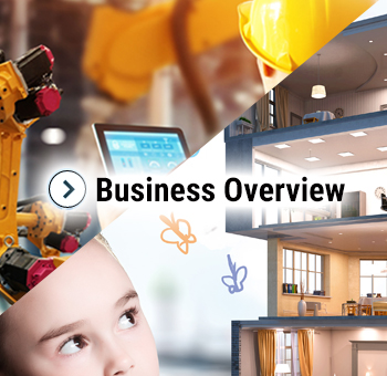 Business Overview