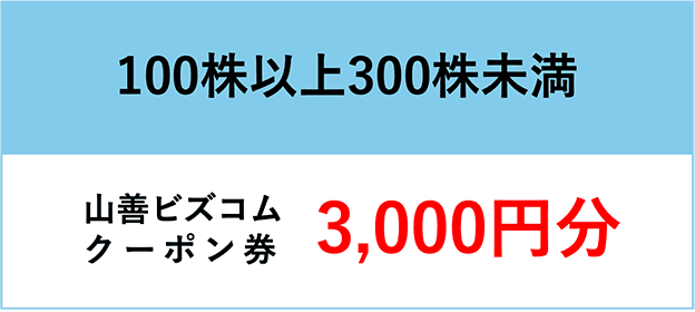 100株以上300株未満の方は山善ビズコムクーポン券3,000円分